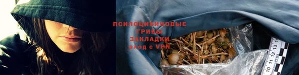 дмт Алексин