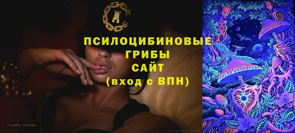 дмт Алексин